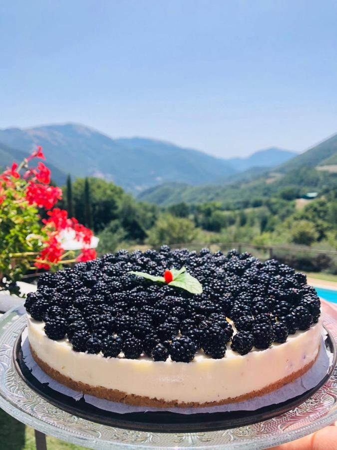 Agriturismo Roccagelli Vallo di Nera Zewnętrze zdjęcie